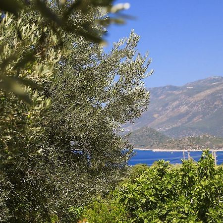 Vila Kaktus Cakil Kaş Exteriér fotografie