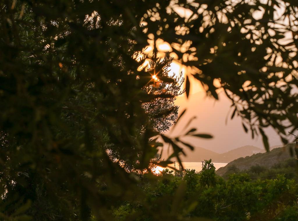 Vila Kaktus Cakil Kaş Exteriér fotografie