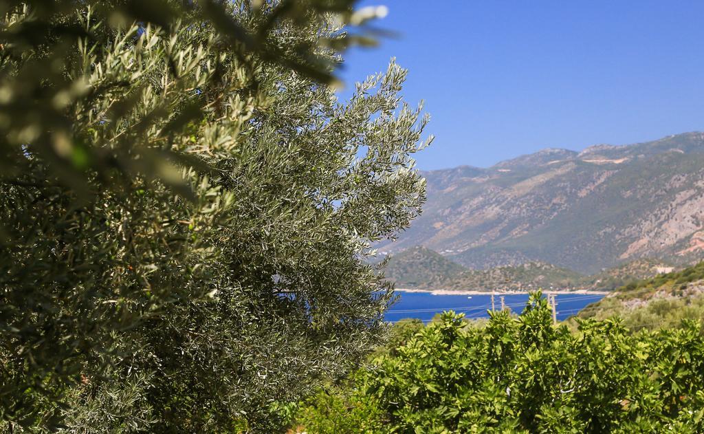 Vila Kaktus Cakil Kaş Exteriér fotografie